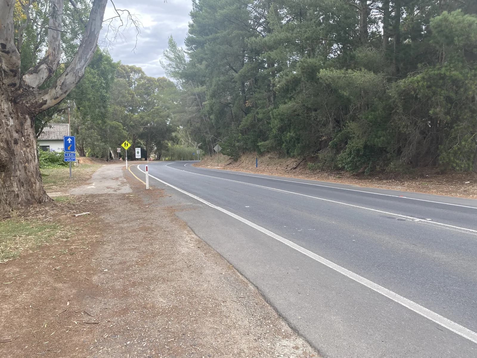 A sealed two-lane country road lined with gum trees near Hahndorf in the Adelaide Hills